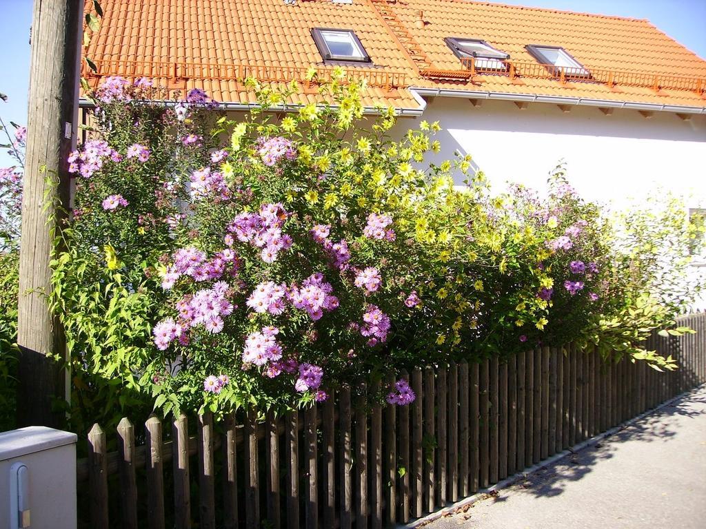 Вилла Wiflinger Graben Einfamilienhaus Worth Экстерьер фото